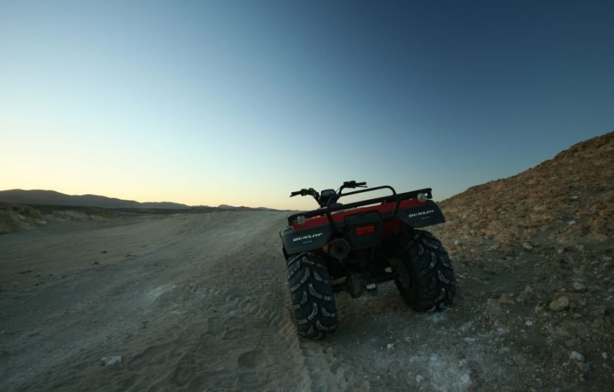 Quad 3 Hours