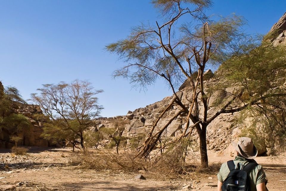 Super Safari