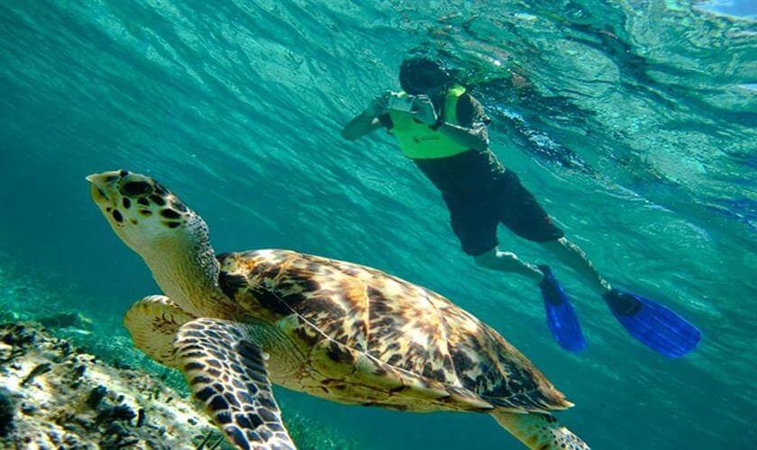 Sataya Reef
